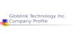 Globlink Technology Inc. Company Profile