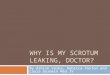 Why is my scrotum leaking, doctor?