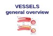 VESSELS general overview