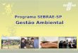 Programa SEBRAE-SP  Gestão Ambiental