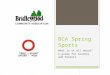 BCA Spring Sports