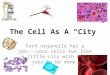 The Cell As  A  “City”