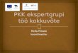 PKK ekspertgrupi töö kokkuvõte