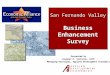 San Fernando Valley Business Enhancement Survey
