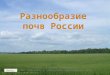 Разнообразие почв России