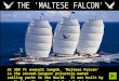 THE 'MALTESE FALCON