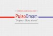 Pulsodream Presentation RUS