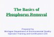 The Basics of Phosphorus Removal