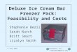 Deluxe Ice Cream Bar  Freezer Pack: Feasibility and Costs