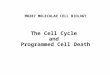 MB207 MOLECULAR CELL BIOLOGY The Cell Cycle  and  Programmed Cell Death