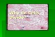 Why do Cells        Divide?