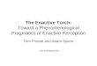 The Enactive Torch: Toward a Phenomenological Pragmatics of Enactive Perception