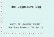 The Cognitive Dog