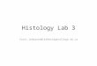Histology Lab 3