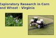 Exploratory Research in Corn  and Wheat - Virginia