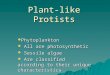 Plant-like Protists