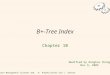 B+-Tree Index