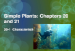 Simple Plants: Chapters 20 and  21 20-1  Characteristics of Algae