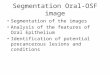 Segmentation  Oral-OSF image