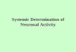 Systemic Determination of Neuronal Activity