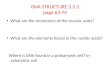 DNA STRUCTURE 3.3.3 page 63-74