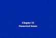 Chapter 13 Numerical Issues