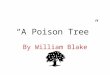 “A Poison Tree”