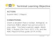 Terminal Learning Objective