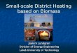 Small-scale District Heating based on Biomass
