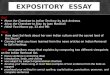 Expository  essay