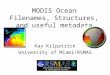MODIS Ocean Filenames, Structures, and useful metadata