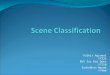 Scene Classification