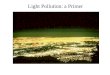 Light Pollution: a Primer
