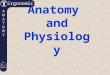Anatomy  and Physiology