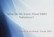 What Do We Know About MHD Turbulence?