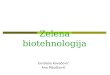 Zelena biotehnologija