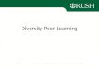 Diversity Peer Learning