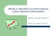 What is Workforce Information/ Labor Market Information