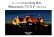 Understanding the  Electronic PCR Process