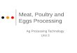 Meat, Poultry and Eggs Processing