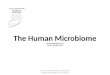 The Human  Microbiome Christine Rodriguez, Ph.D. Harvard Outreach 2012