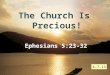 The Church Is  Precious!