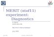 MERIT (ntof11) experiment: Diagnostics