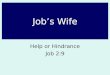 Job’s Wife