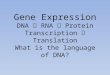 Gene Expression DNA   RNA  Protein Transcription  Translation What is the language of DNA?