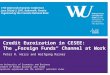 Credit Euroization in CESEE:  The „Foreign Funds“ Channel at Work