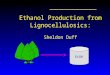 Ethanol Production from Lignocellulosics: Sheldon Duff