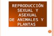 Reproducción sexual y asexual de animales y  plantas