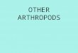 OTHER ARTHROPODS