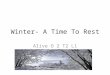 Winter- A Time To Rest